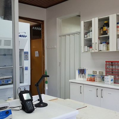 lab micorrizas